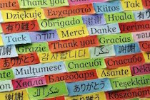 The current selected category is shown here